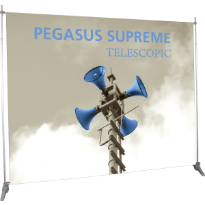 Pegasus Supreme Post Up Stands