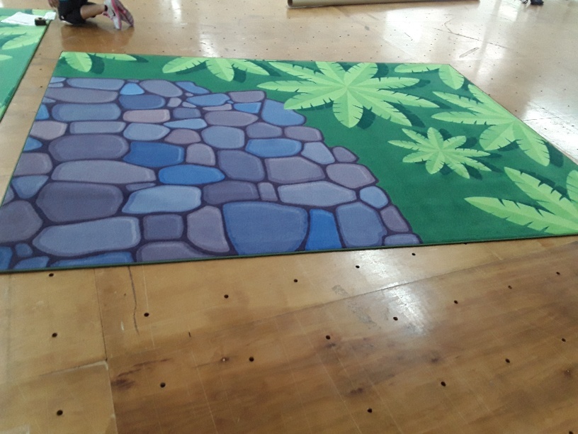 Dye Sub Printed Carpet Dye Sub Printed Carpet