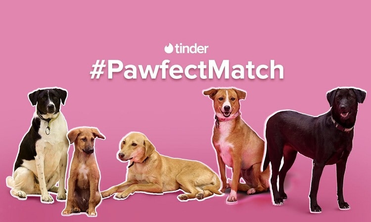 #6 Tinder’s Dog Adopting Campaign