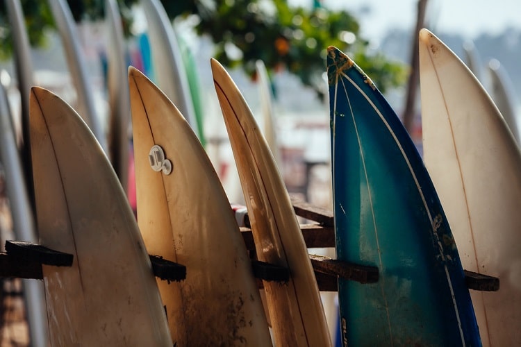 History Of The Surf Expo